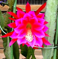 �܂��Ō��t������